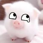 北京WB丞丞
