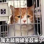 Sunny、逸尘