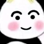 迪路兽o
