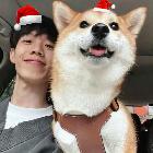kSheep