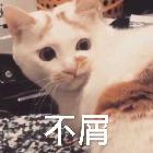書白丷