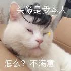 五米達