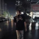 怡然轉(zhuǎn)蓬舞