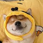 二狗