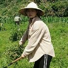 湘村大臉妹兒