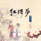 細(xì)品紅樓