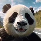 Y老猫爱吃鱼