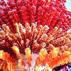 邯鄲機(jī)場(chǎng)