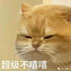 牛人的无敌…