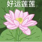 畏天者犬型