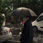 南风知我故
