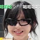 十三VZ