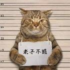 你可以的布魯斯
