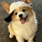 虎牙只为子…