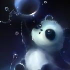 郑辉辉辉