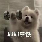 從你的世界路過。