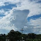 小虎牙-ETSZ8FTnCt