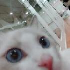 puzzl…