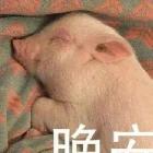 源囍