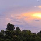 小錢播