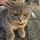 leng冷…