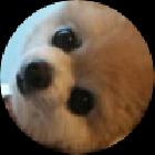 SaRs丶