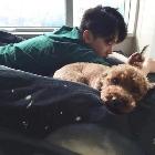 痛了自然放手輕