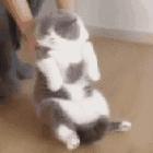 深愛i