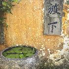 车马慢慢