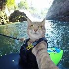 初見丶猶似故