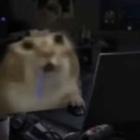 妄昼