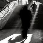 我有花盆你有什么