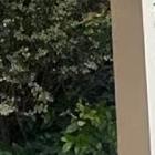 唯爱豆包包