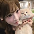 冲动猪仔