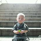 左子季高