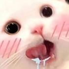 逍遙客情
