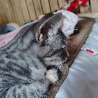 冰鎮(zhèn)西瓜丶