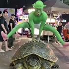 童景程开播…