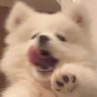 DN丶郑一亿个人资料