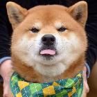 Top.谙…