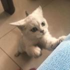 鄭州帥哥