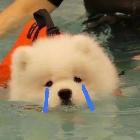 干蘆仙府間