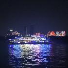 狂鳥丶悄悄來了