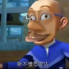 這是天風(fēng)鴨