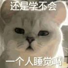 新之助小小新