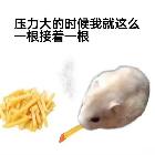 不上雀圣不改名