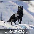 金風助遠航