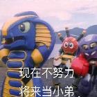 小陈831