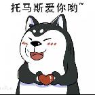 黑粉已上山