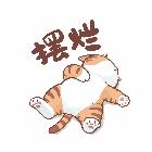 无解